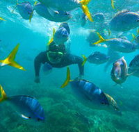 G Adventures - Tourism Adelaide
