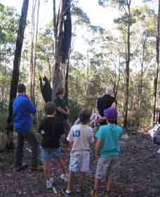 Boronia Tours - Tourism Adelaide 1