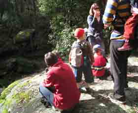 Boronia Tours - Tourism Adelaide 2