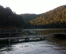 Church Point Ferry Service - Tourism Adelaide 5