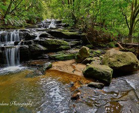 Australian Sightseeing And Photography Tours - Tourism Adelaide 1