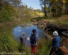 Australian Sightseeing And Photography Tours - Tourism Adelaide 5
