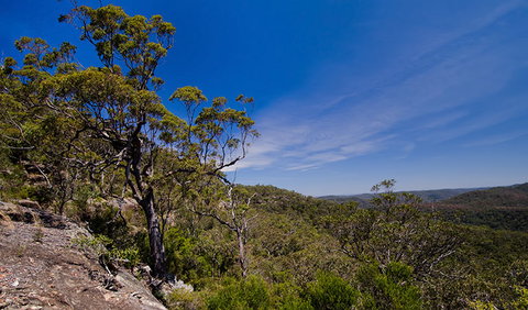 Marramarra National Park - Tourism Adelaide 1