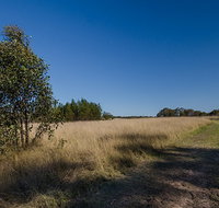 Scheyville horse riding trails - Tourism Adelaide