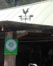 Canoelands Orchard - Tourism Adelaide 3