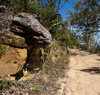 Canoelands Ridge walking track - Tourism Adelaide