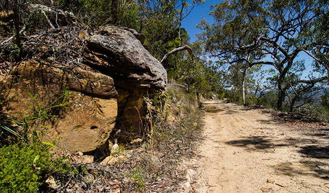 Canoelands Ridge Walking Track - Tourism Adelaide 0