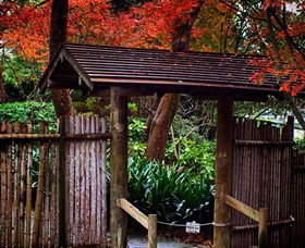 Japanese Gardens And Teahouse Campbelltown - Tourism Adelaide 4