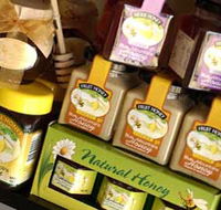 Blue Mountains Honey Company - The Honey Shed - Tourism Adelaide