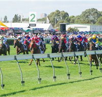 Morphettville Racecourse - Tourism Adelaide