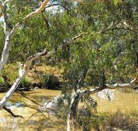 Quilberry Creek Fishing - Tourism Adelaide