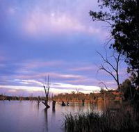 Loch Luna Game Reserve and Moorook Game Reserve - Tourism Adelaide
