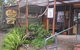 Nirvana Organic Produce And Farm - thumb 0