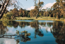Echunga Golf Club Incorporated - Tourism Adelaide 1