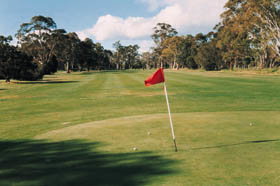Echunga Golf Club Incorporated - Tourism Adelaide 2