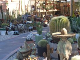 Cactus Creations - Tourism Adelaide 0