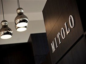 Mitolo Wines - Tourism Adelaide 1