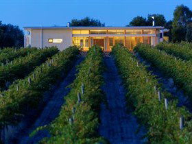 Mitolo Wines - Tourism Adelaide 3