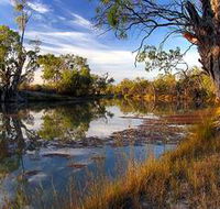 Murray River National Park - Tourism Adelaide