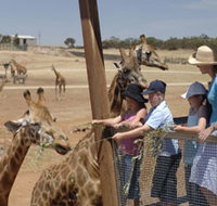 Monarto Open Range Zoo - Tourism Adelaide