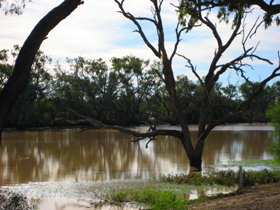 Allan Tannock Weir - Tourism Adelaide 3