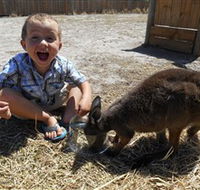 Animal Farm Goolwa