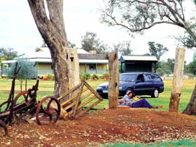 Charleville - Graham Andrews Parklands - Tourism Adelaide 3