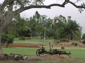 Charleville - Graham Andrews Parklands - Tourism Adelaide 2