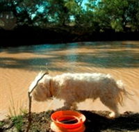 Charleville - 27 Mile Warrego River Fishing Spot - Tourism Adelaide
