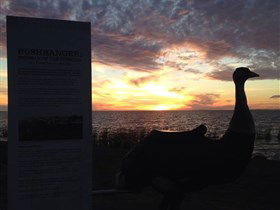 Meningie's Pelican Path - Yunti Ngopun Ngami - Tourism Adelaide 2
