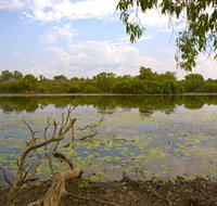Yurmikmik Walks - Tourism Adelaide