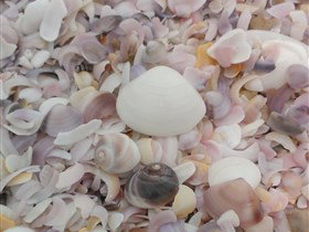 42 Mile Crossing - Tourism Adelaide 2