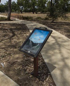 Wallam Creek, Bollon - Tourism Adelaide 1