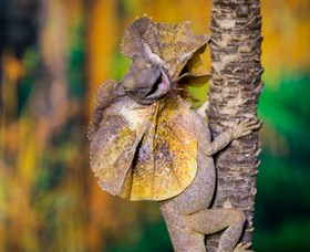 Territory Wildlife Park - Tourism Adelaide 1