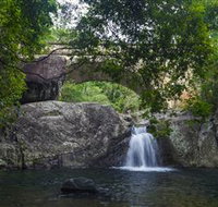Paluma and Crystal Creek Rainforest - Tourism Adelaide
