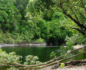 Broadwater, Abergowrie State Forest - Tourism Adelaide 0