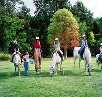 Limestone Coast Horseriding - Tourism Adelaide