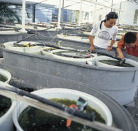 James Cook University of North Queensland - Tourism Adelaide