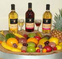 de Brueys Boutique Wines and Functions Venue - Tourism Adelaide
