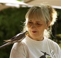 Simply Tomatoes - Tourism Adelaide