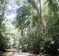 Mount Lewis National Park - Tourism Adelaide