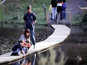 Valley Lake Conservation Park - Tourism Adelaide 2