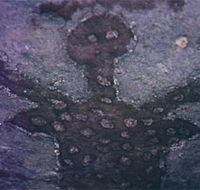 Quinkan Reserves Ancient Rock Art - Tourism Adelaide