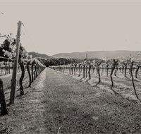 Halls Gap Estate - Tourism Adelaide