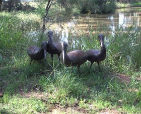 East Tolans Farm Tour - Tourism Adelaide 0