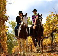 Billabong Ranch - Tourism Adelaide