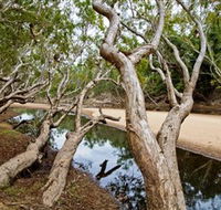 Oyala Thumotang National Park CYPAL - Tourism Adelaide
