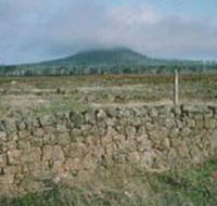 Mount Napier State Park - Tourism Adelaide