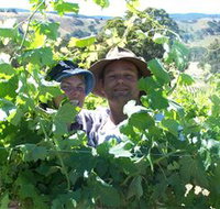 Wimmera Hills Winery - Tourism Adelaide