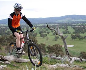 Wimmera Hills Winery - Tourism Adelaide 2